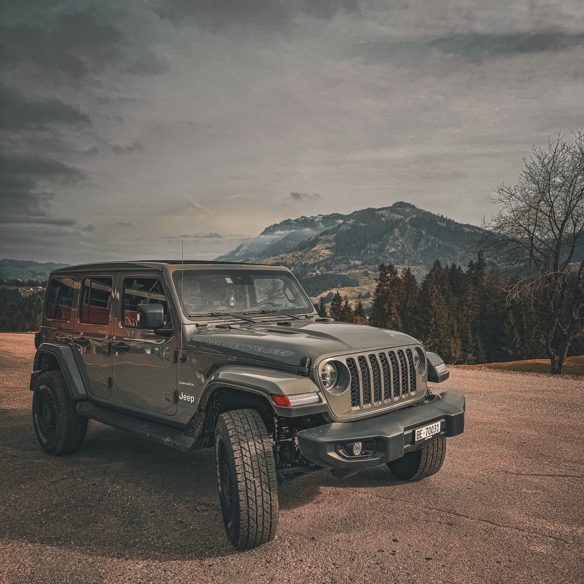 Bruce the Jeep